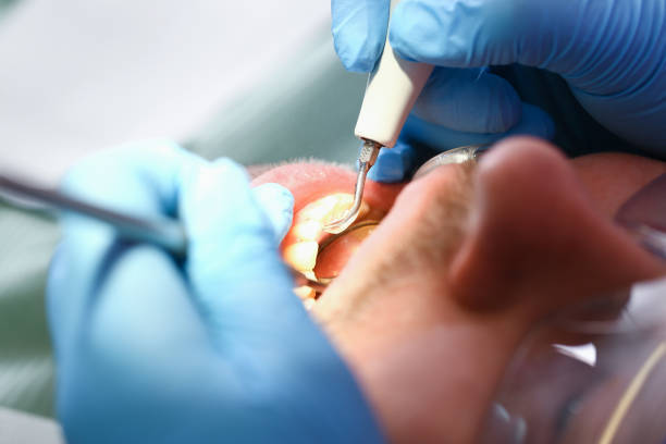 Best Pediatric Emergency Dentist in Stem, NC